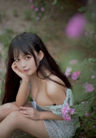 拜见宫主大人
