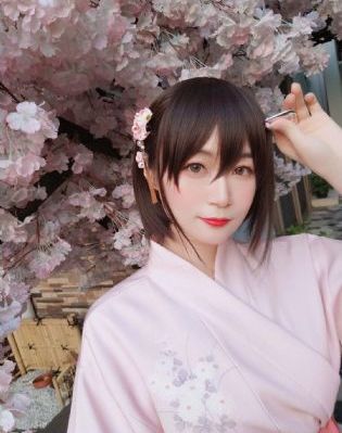 噼里啪啦在线看