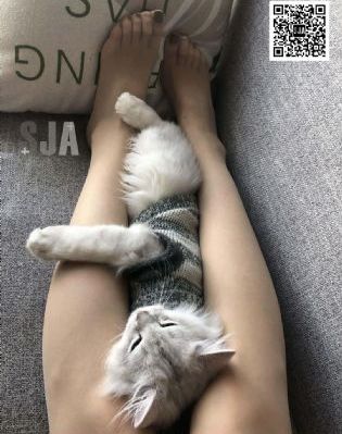 我的家产全曝光了短剧在线观看