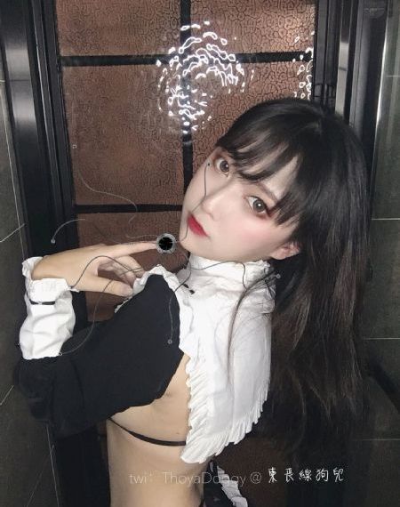 大秦赋全集免费播放