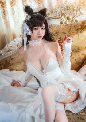 黄色理论视频